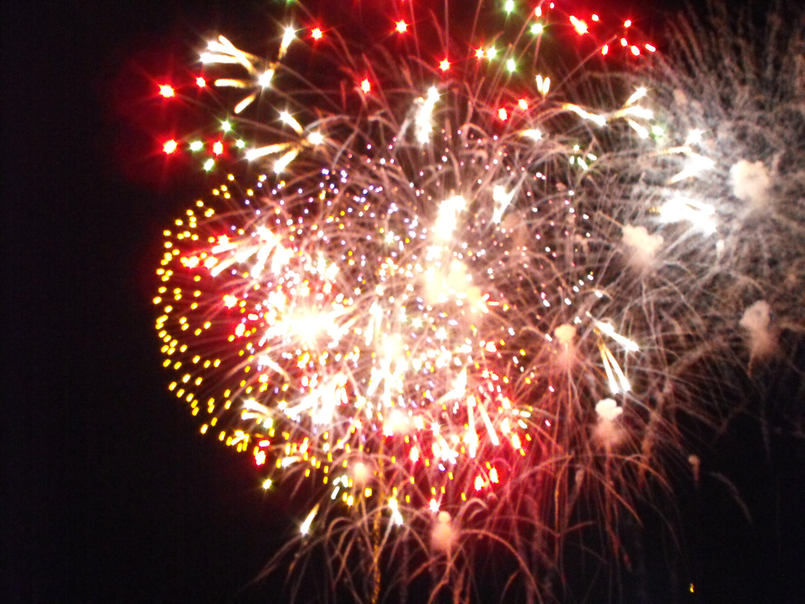 ./2010/Fourth of July/4th July Fireworks Wilm 0039.JPG